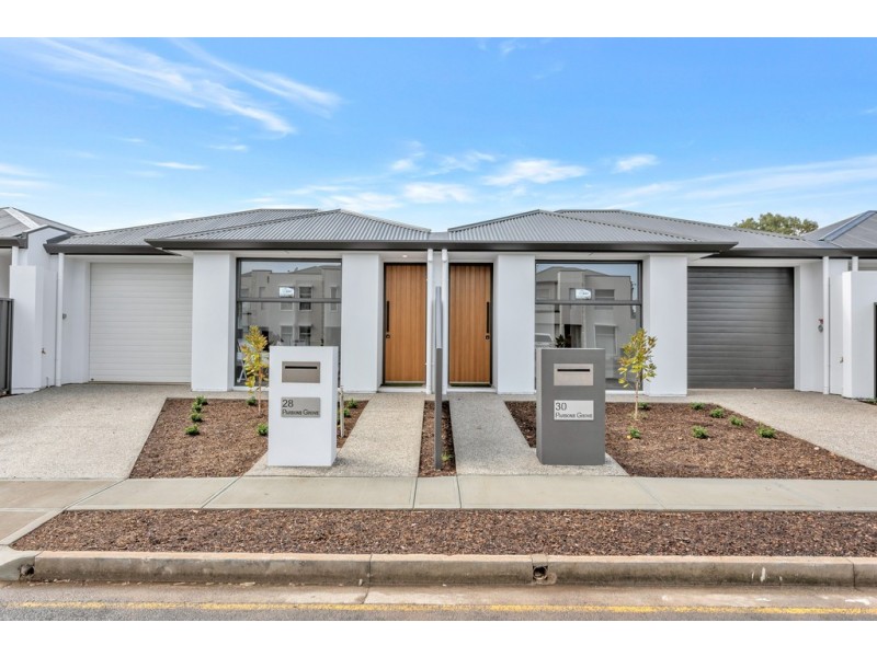 30 Parsons Grove, Park Holme SA 5043