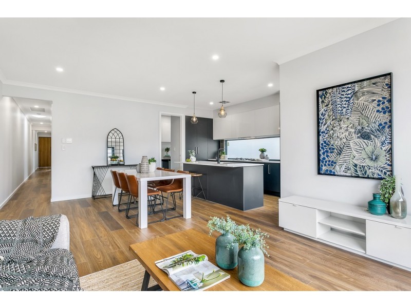 30 Parsons Grove, Park Holme SA 5043