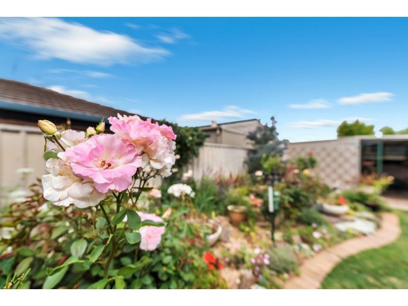 13 Middlebrook Court, Woodcroft SA 5162