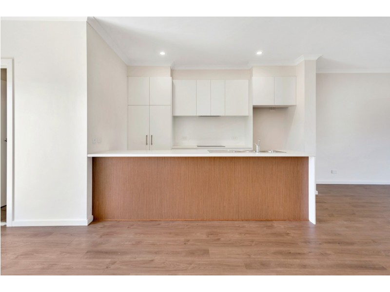 11 Welsley Lane, Seaford Meadows SA 5169