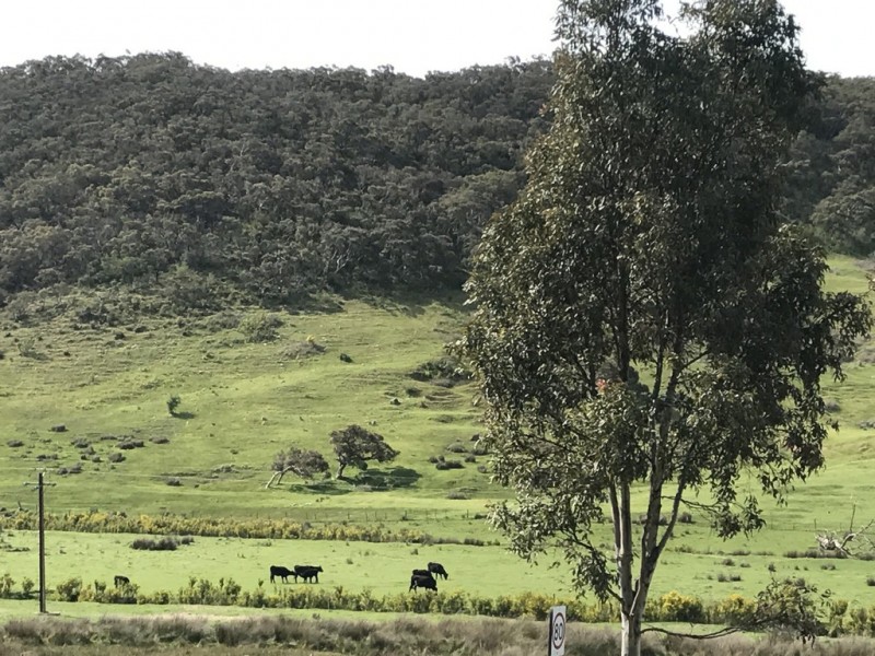 Lot 50 and 51 Peters Terrace, Mount Compass SA 5210