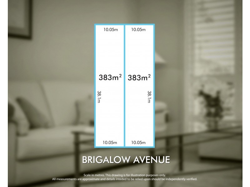 9 Brigalow Avenue, Seacombe Gardens SA 5047