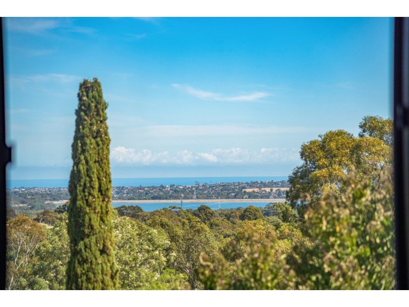 11 Tamarind Walk, Aberfoyle Park SA 5159