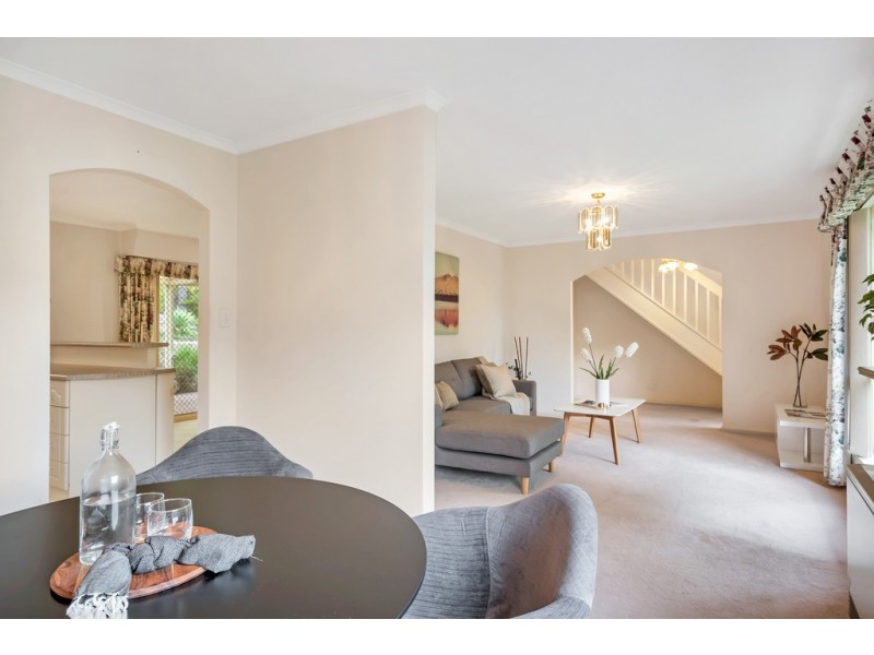 104 Homestead Drive, Aberfoyle Park SA 5159