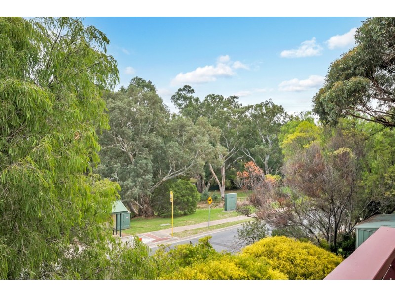 104 Homestead Drive, Aberfoyle Park SA 5159