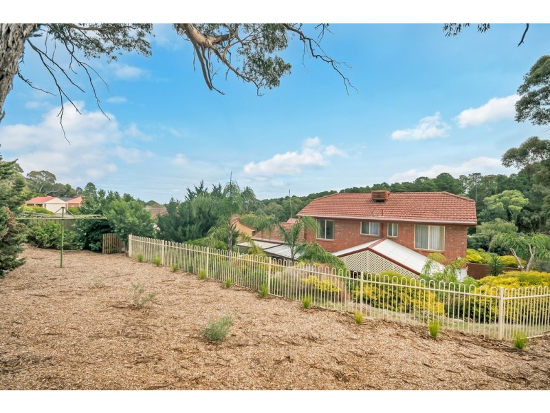 104 Homestead Drive, Aberfoyle Park SA 5159