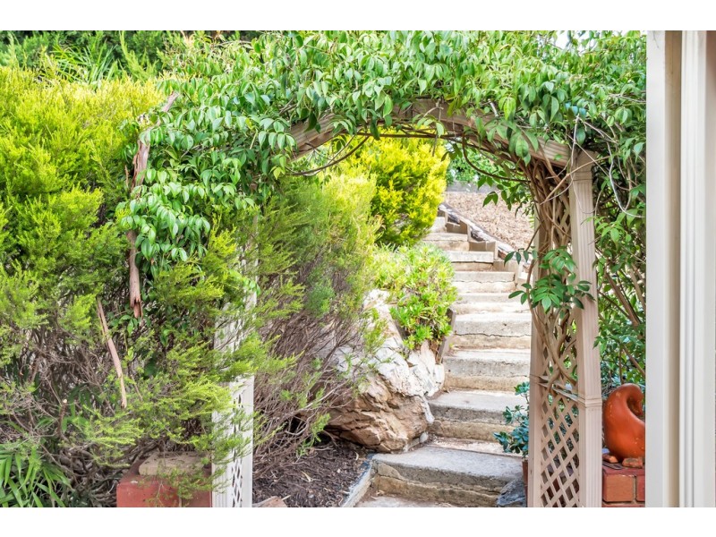 104 Homestead Drive, Aberfoyle Park SA 5159