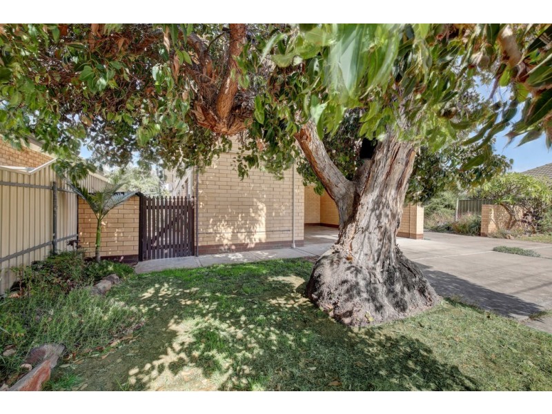 1/53 Downing Street, Hove SA 5048