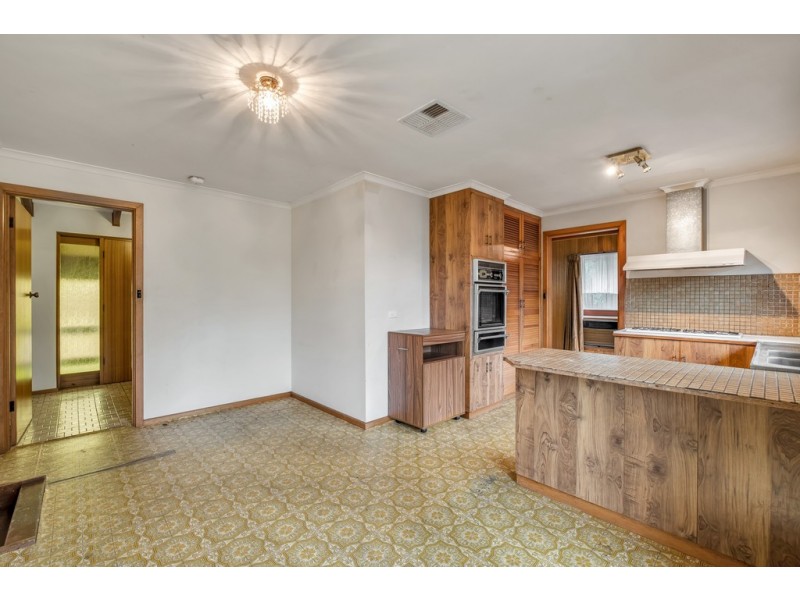 55 Antilla Way, Flagstaff Hill SA 5159