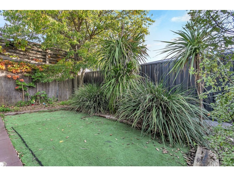 2/36 Delamere Avenue, Netherby SA 5062