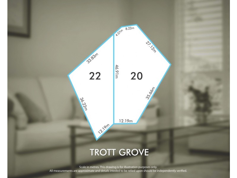 20 Trott Grove, Oaklands Park SA 5046