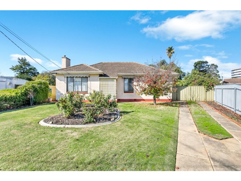 20 Trott Grove, Oaklands Park SA 5046