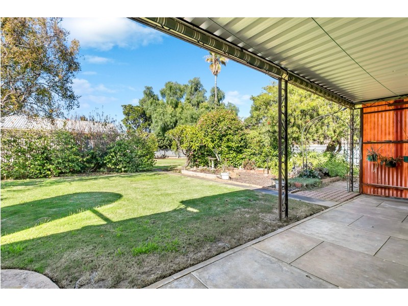 20 Trott Grove, Oaklands Park SA 5046