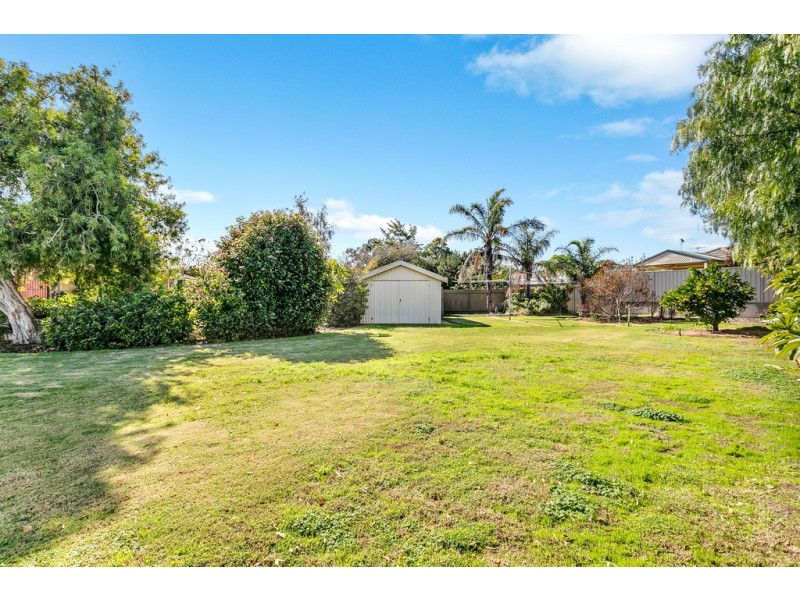 20 Trott Grove, Oaklands Park SA 5046