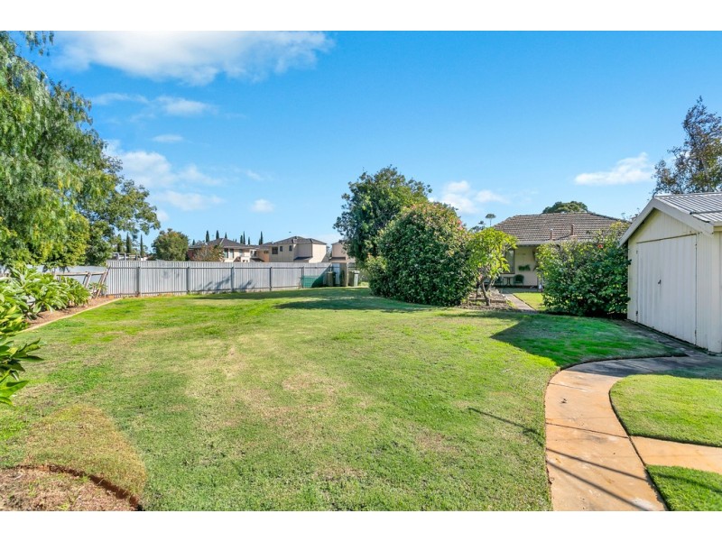 20 Trott Grove, Oaklands Park SA 5046