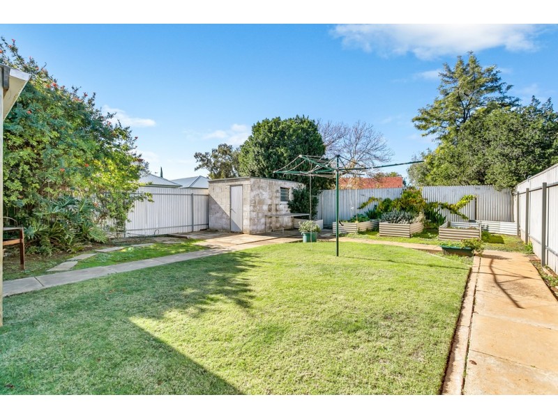 20 Trott Grove, Oaklands Park SA 5046
