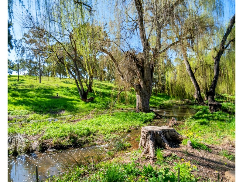 13 Fountain Valley Drive, Happy Valley SA 5159