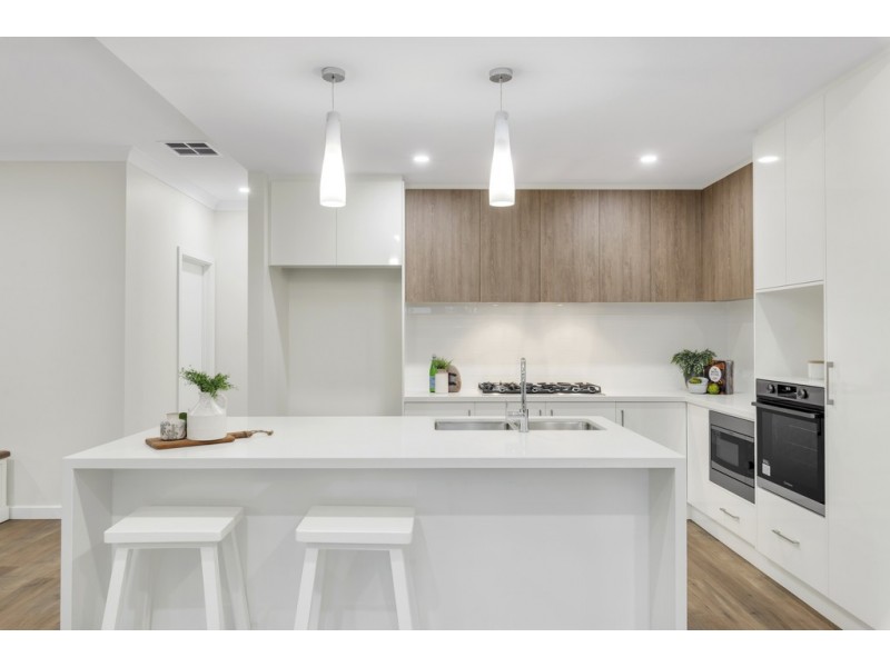 46 James Street, Plympton SA 5038