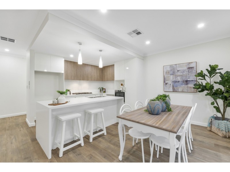 46 James Street, Plympton SA 5038