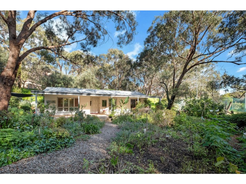 36 Willora Road, Eden Hills SA 5050