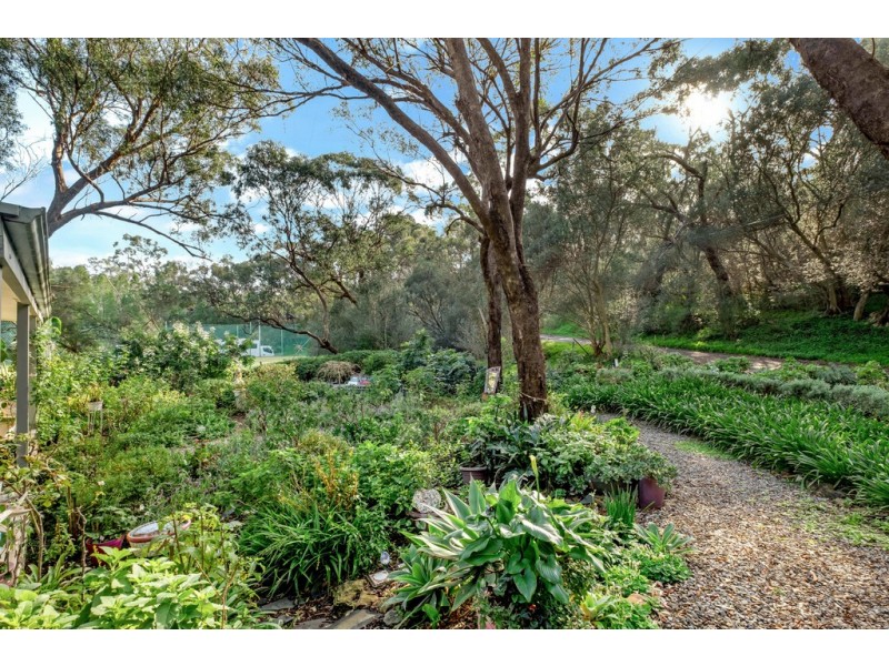 36 Willora Road, Eden Hills SA 5050