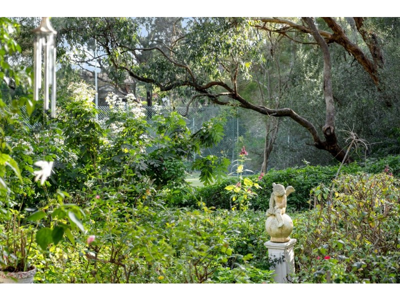 36 Willora Road, Eden Hills SA 5050