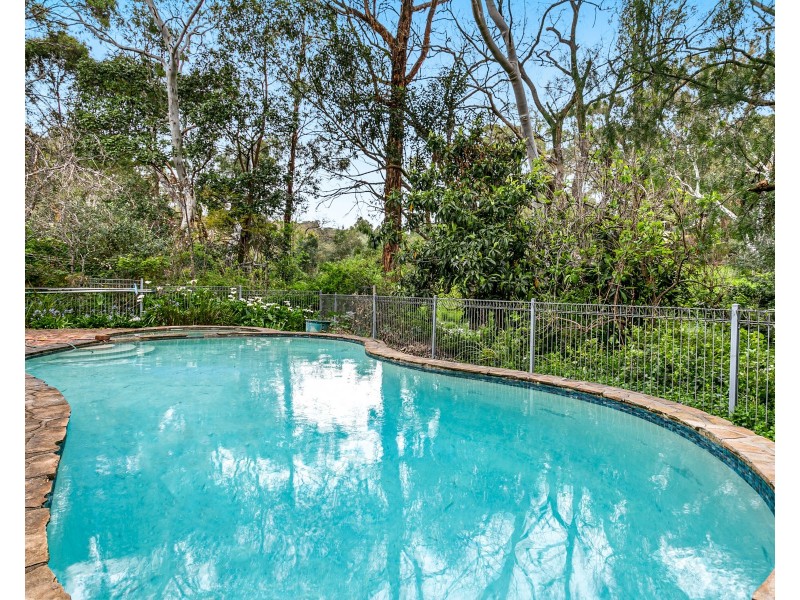 419 Main Road, Coromandel Valley SA 5051