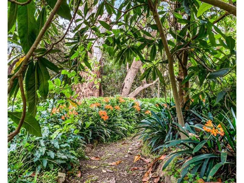 419 Main Road, Coromandel Valley SA 5051