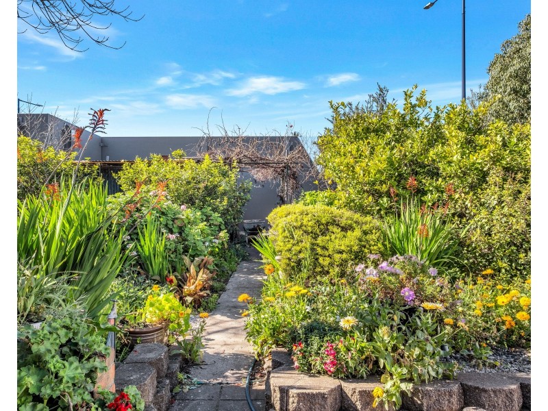 22 Jervois Avenue, West Hindmarsh SA 5007