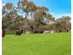 3693 Range Road, Waitpinga SA 5211