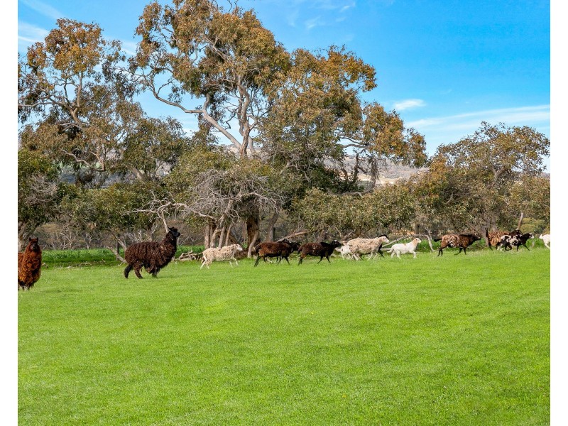 3693 Range Road, Waitpinga SA 5211