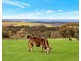 3693 Range Road, Waitpinga SA 5211