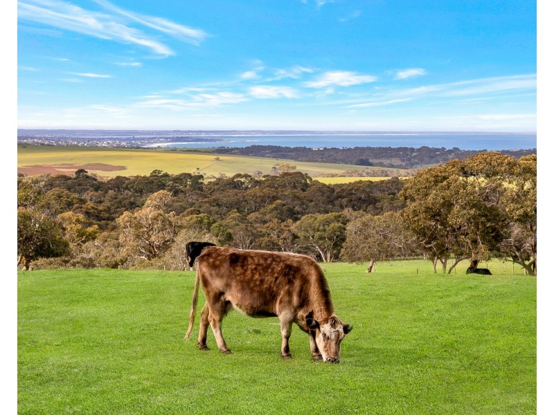 3693 Range Road, Waitpinga SA 5211