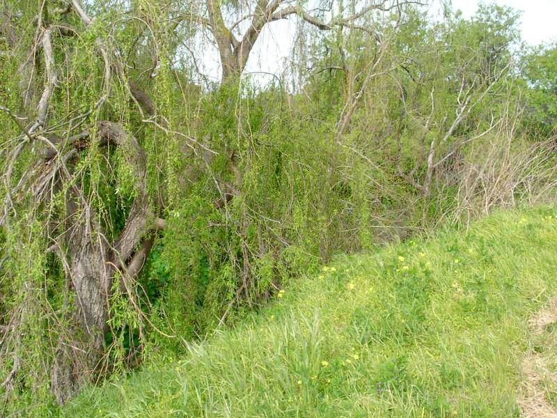 Lot 3 Aldinga Road, Willunga SA 5172