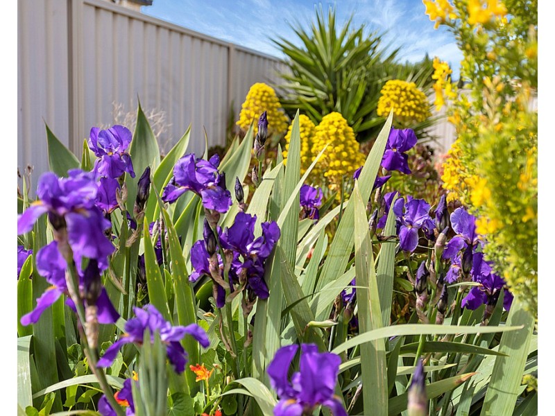 11 Seahaven Way, Aldinga Beach SA 5173