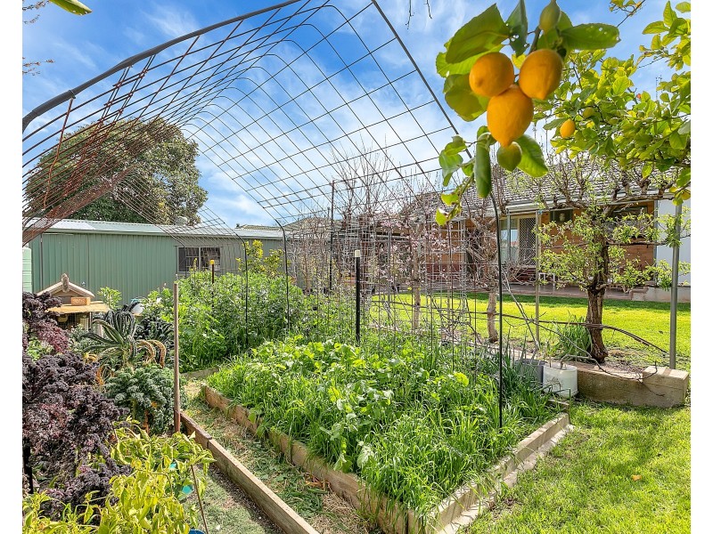 18 Parsons Road, Reynella SA 5161