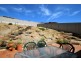 20 Historic Close, Sheidow Park SA 5158