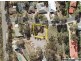 24 Singer Drive, Happy Valley SA 5159
