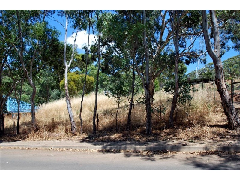 24 Singer Drive, Happy Valley SA 5159