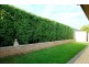 3 Overland Crescent, Sheidow Park SA 5158