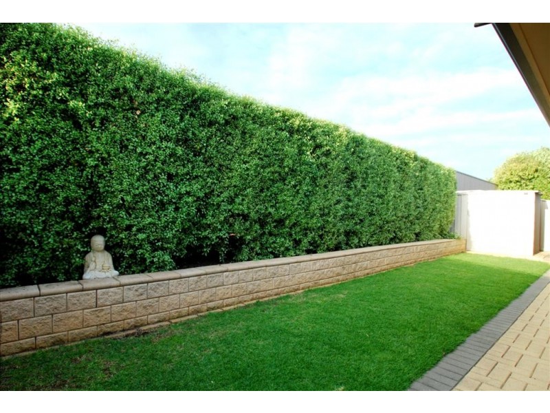 3 Overland Crescent, Sheidow Park SA 5158