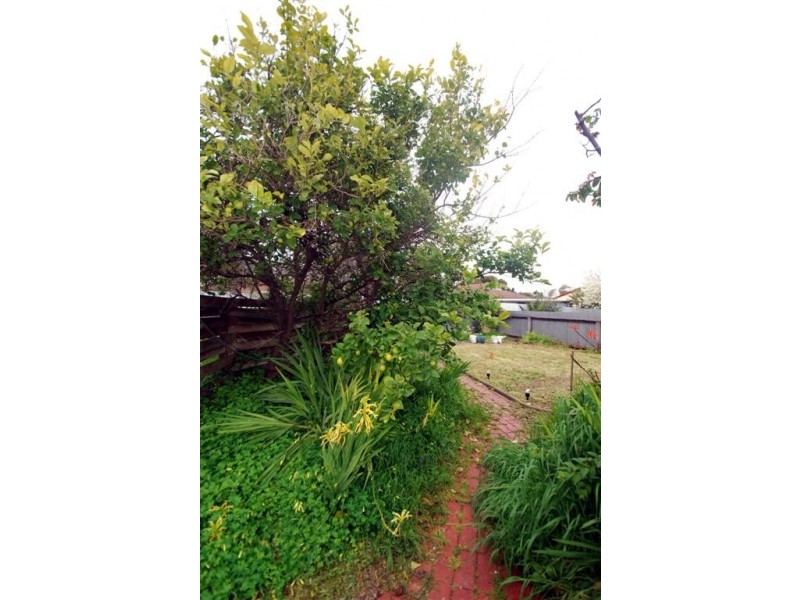 14 Breckenridge Drive, Reynella SA 5161