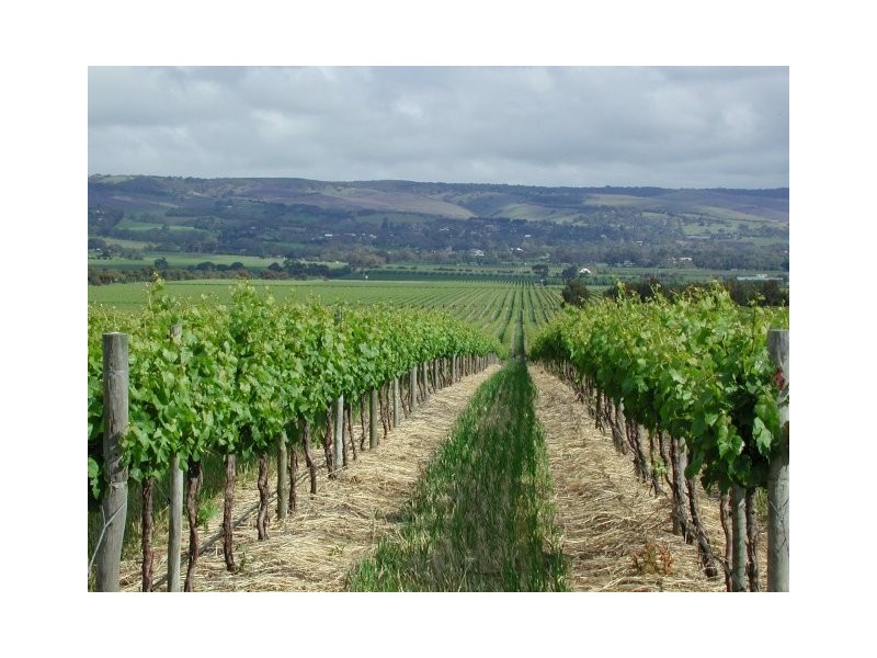 170 Main Road, Mclaren Vale SA 5171