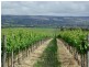 170 Main Road, Mclaren Vale SA 5171