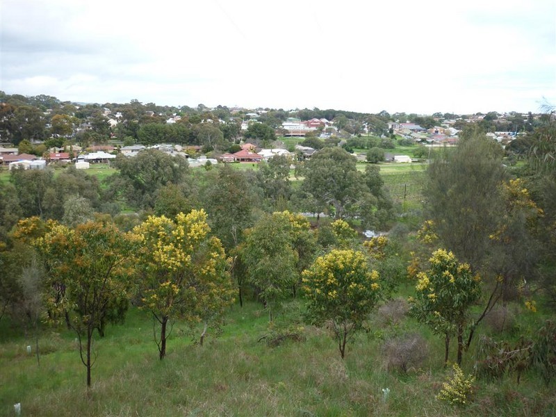 170 Main Road, Mclaren Vale SA 5171