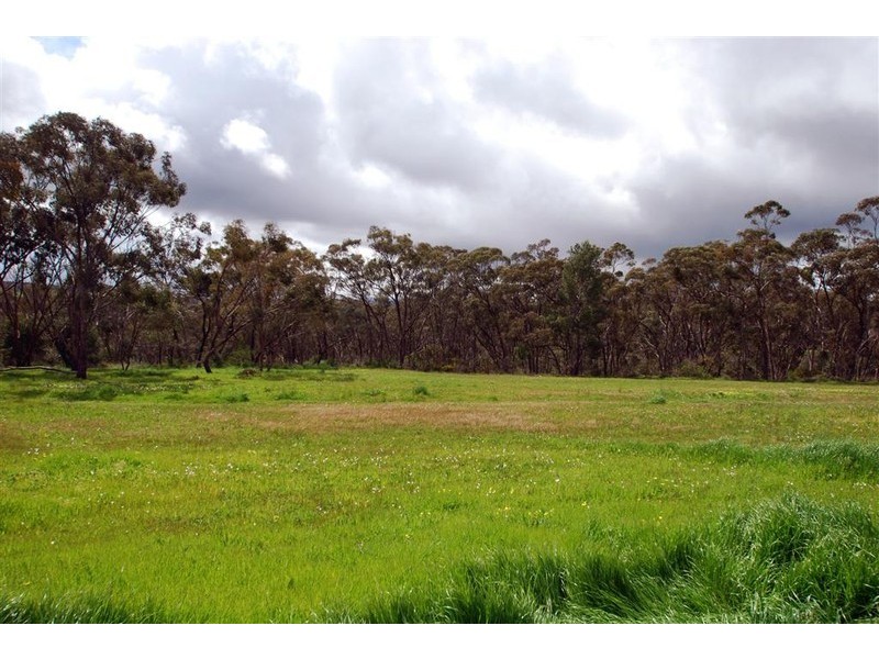 173 Black Road, Flagstaff Hill SA 5159