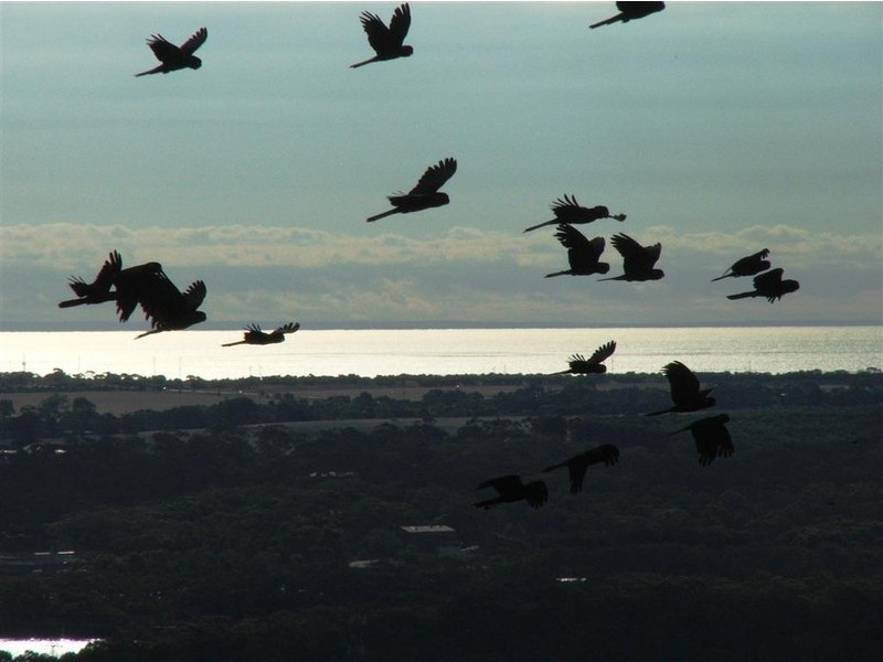 130 Windebanks Road, Happy Valley SA 5159