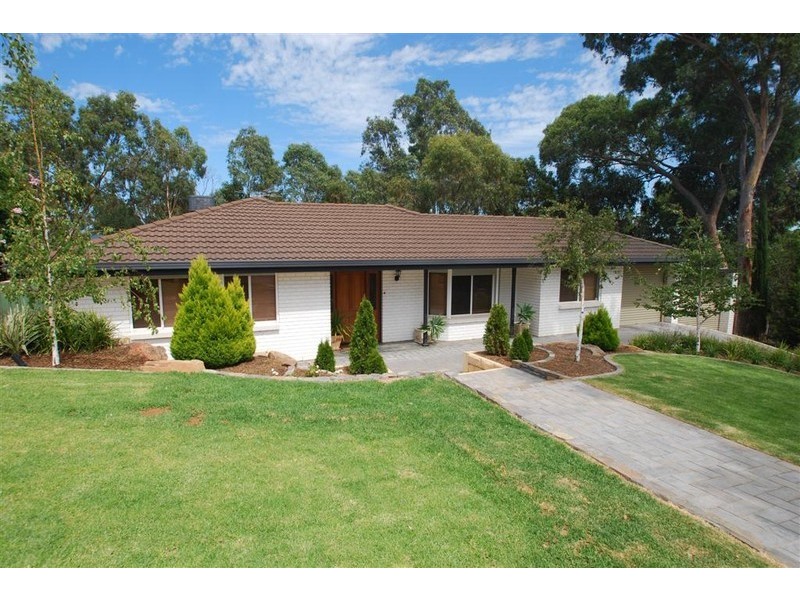 51 Coachwood Drive, Aberfoyle Park SA 5159