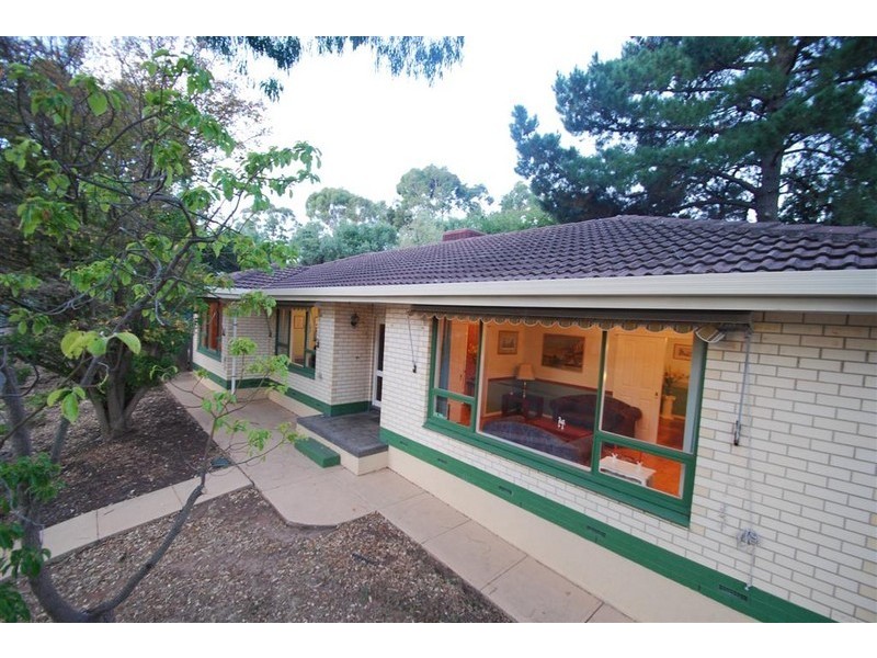 19 Morning Glory Avenue, O’halloran Hill SA 5158