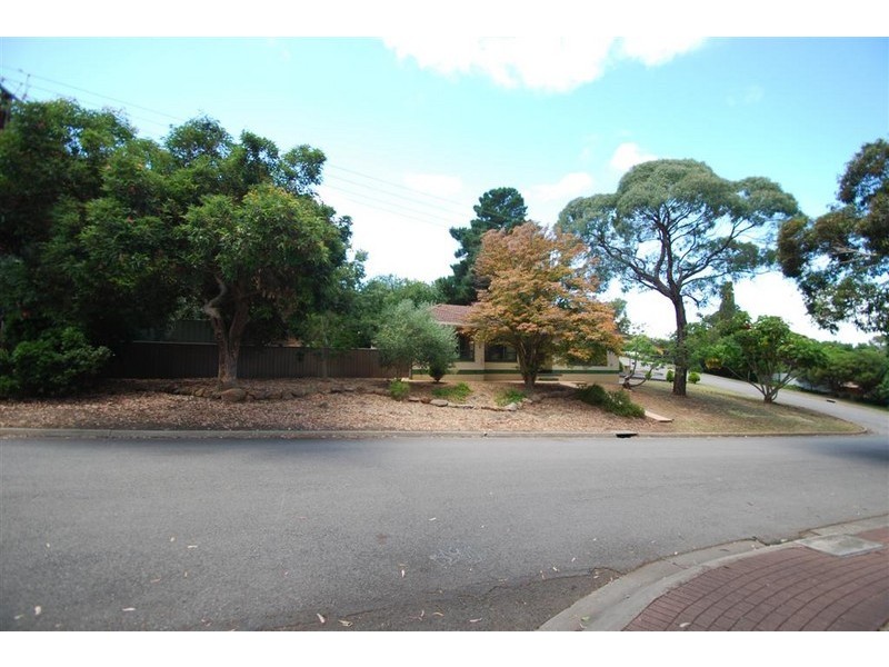 19 Morning Glory Avenue, O’halloran Hill SA 5158